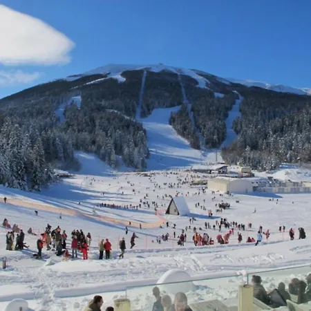 Apartment Colosseum *